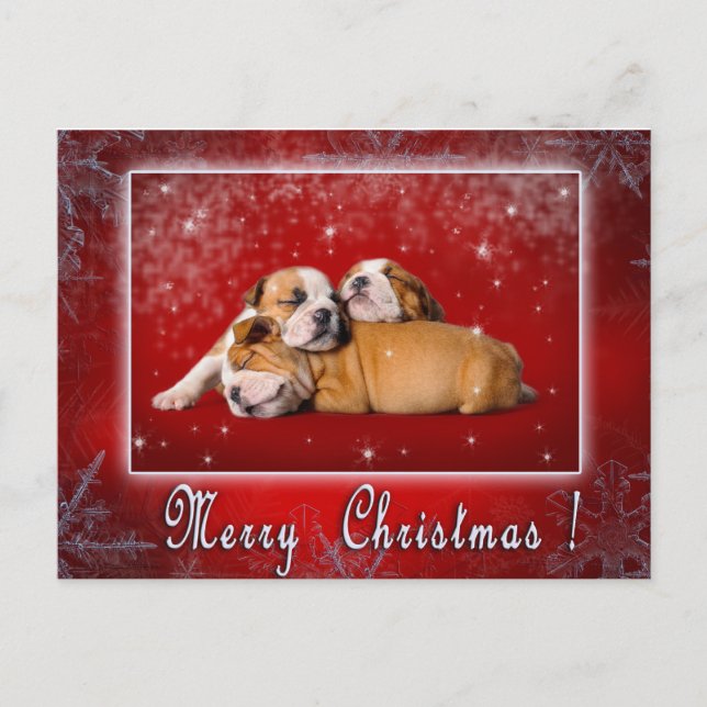 Cartão Postal De Festividades Cartão de Natal para Buldogue Inglês (Frente)