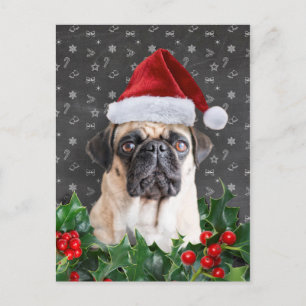 Cartão Postal De Festividades Cartão de Natal Pug