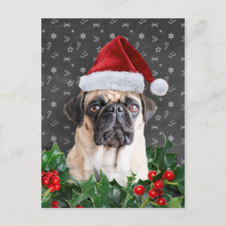 Cartão Postal De Festividades Cartão de Natal Pug