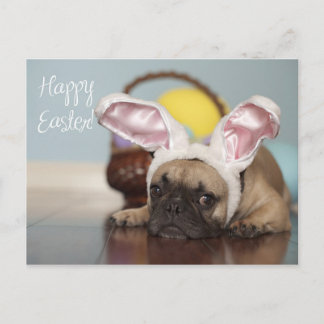 Cartão Postal De Festividades Cartão de páscoa do buldogue francês!