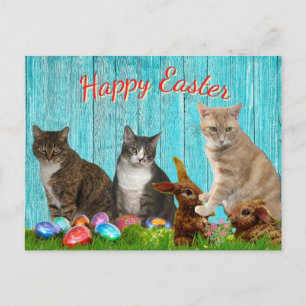 Cartão Postal De Festividades Cartão de Páscoa - Gatos e Coelhos