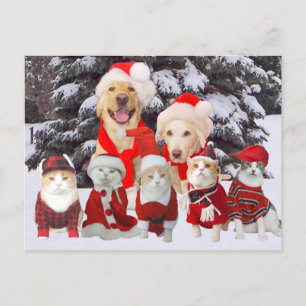Cartão Postal De Festividades Cartão de Posto de Natal Pet Engraçado Personalizá