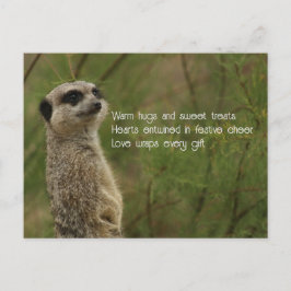 Cartão Postal De Festividades Cartão de Posto Meercat Haiku Holiday