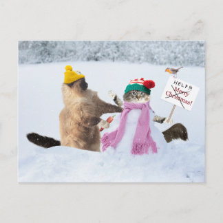 Cartão Postal De Festividades Cartão de Saudação de Natal de Gato Engraçado