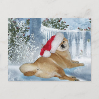 Cartão Postal De Festividades Cartão de Shiba Inu do Natal