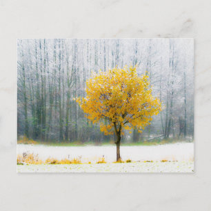 Cartão Postal De Festividades Cartão de Viagem de Árvore Colorida Elegante