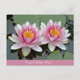 Cartão Postal De Festividades Cartão do dia de Waterlily LotusValentive de