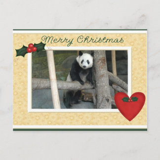 Cartão Postal De Festividades Cartão do Natal do urso de panda gigante ou da