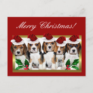 Cartão Postal De Festividades Cartão dos filhotes de cachorro do lebreiro do
