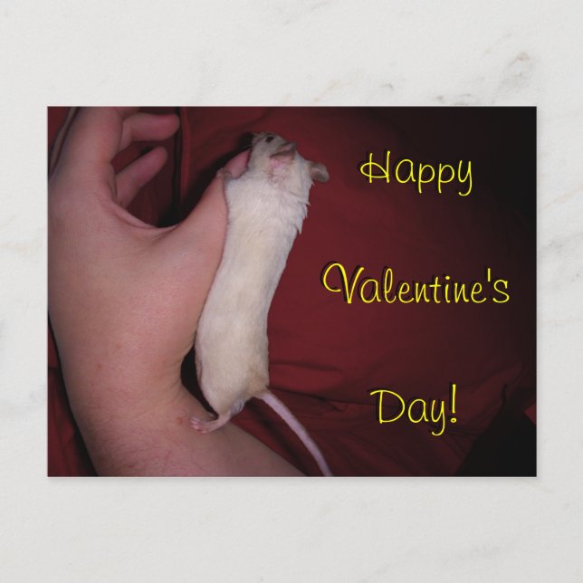 Cartão Postal De Festividades Cartão: Namorados do abraço do rato (Frente)