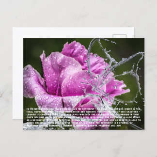 Cartão Postal De Festividades Cartão-postal Butterfly