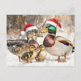 Cartão Postal De Festividades Cartão-postal da família Duck