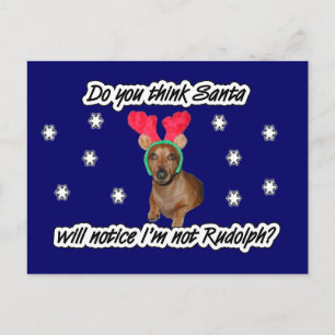 Cartão Postal De Festividades Cartão-postal Dachshund Reindeer