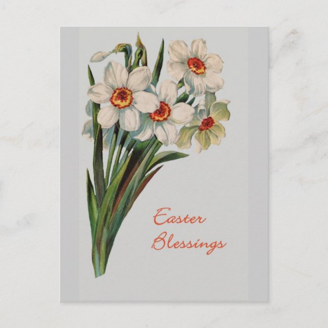 Cartão Postal De Festividades Cartão-postal de Bênçãos de páscoa (Frente)