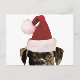 Cartão Postal De Festividades Cartão-postal de boxe de Natal