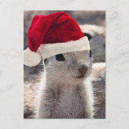 Cartão Postal De Festividades Cartão-postal de Esquilo papais noeis