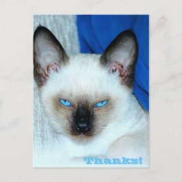 Cartão Postal De Festividades Cartão-postal de feriado de obrigados