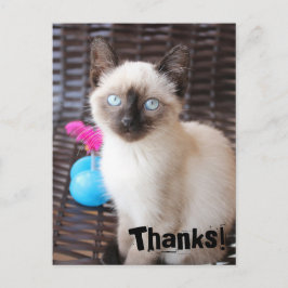 Cartão Postal De Festividades Cartão-postal de feriado de obrigados