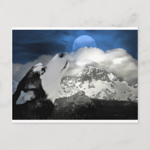 Cartão Postal De Festividades Cartão-postal de feriado de Rouco bonito