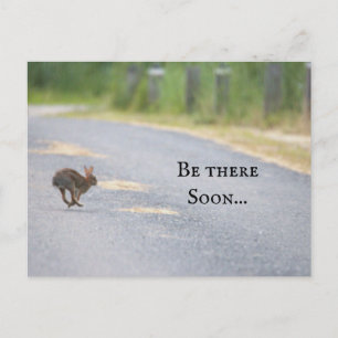 Cartão Postal De Festividades Cartão-postal de Foto Bunny