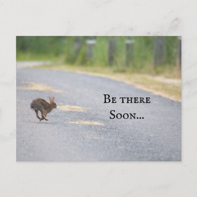 Cartão Postal De Festividades Cartão-postal de Foto Bunny (Frente)