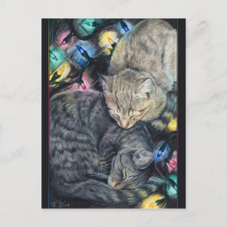 Cartão Postal De Festividades Cartão-postal de Gatinhos de Natal