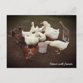 Cartão Postal De Festividades Cartão-postal de Janto Engraçado Patos e Galinhas