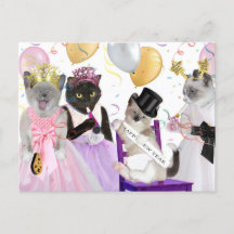 Cartão-postal de Kitten de Ano Novo