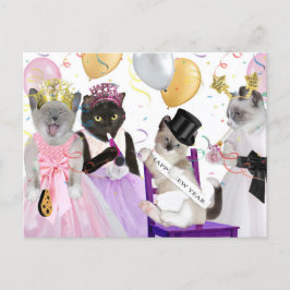 Cartão Postal De Festividades Cartão-postal de Kitten de Ano Novo