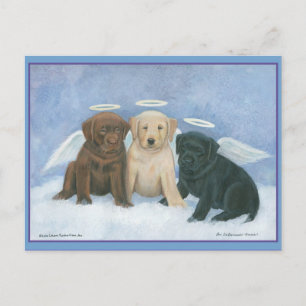 Cartão Postal De Festividades Cartão-postal de Natal Angels Labbies