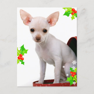 Cartão Postal De Festividades Cartão-postal de Natal Chihuahua