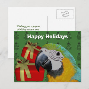 Cartão Postal De Festividades Cartão-postal de Natal do Macaw Parrot