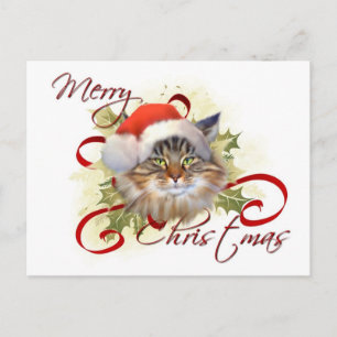 Cartão Postal De Festividades Cartão-postal de Natal para Gato Maine Coon