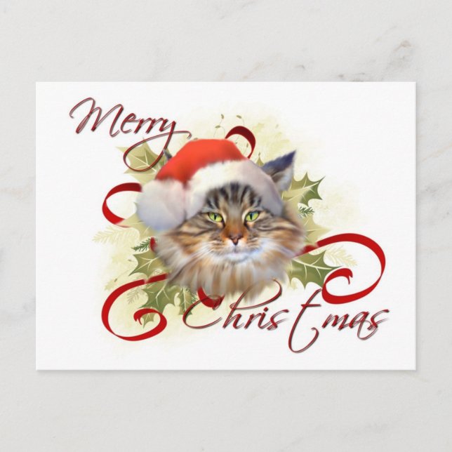 Cartão Postal De Festividades Cartão-postal de Natal para Gato Maine Coon (Frente)