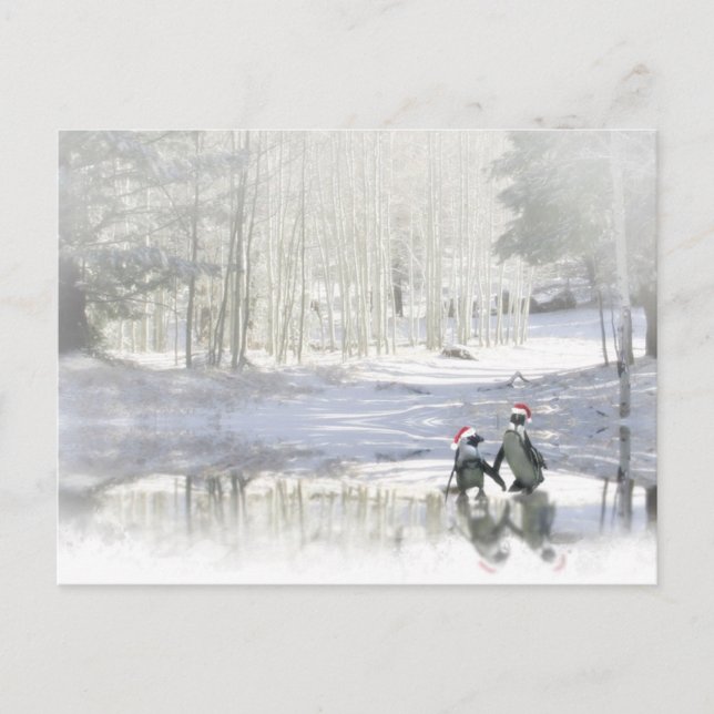 Cartão Postal De Festividades Cartão-postal de Natal para Pinguim Bonito (Frente)