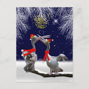 Cartão Postal De Festividades Cartão-postal de Natal Passivo Pelicanos