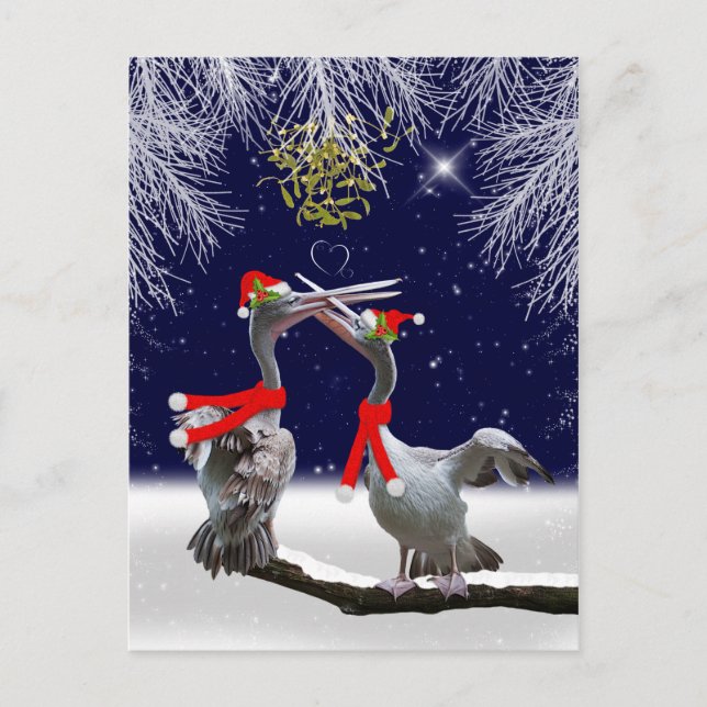 Cartão Postal De Festividades Cartão-postal de Natal Passivo Pelicanos (Frente)