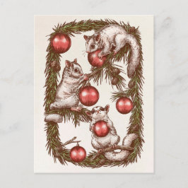Cartão Postal De Festividades Cartão-postal de Natal Sugar Glider