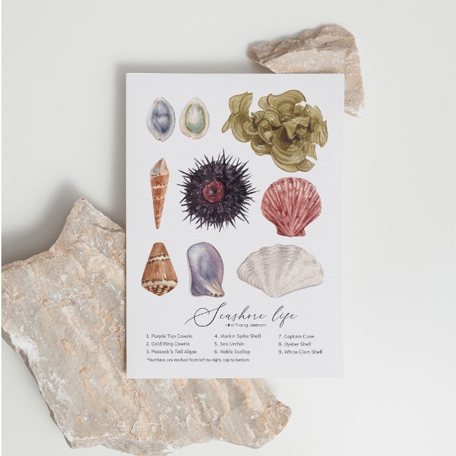 Cartão Postal De Festividades Cartão-postal de vida em terra (Criador carregado)