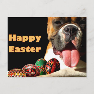 Cartão Postal De Festividades Cartão-postal do Cachorro Boxer do felz pascoa