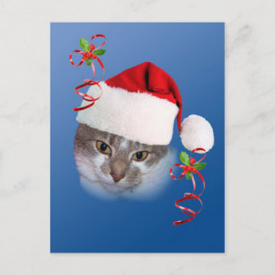 Cartão Postal De Festividades Cartão-postal do Cat em Santa Hat