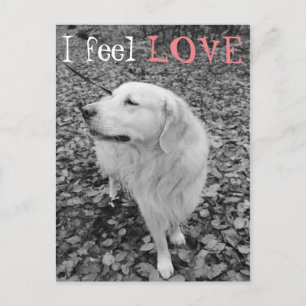 Cartão Postal De Festividades Cartão-postal do DIA DE OS NAMORADOS de recuperaçã