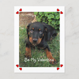 Cartão Postal De Festividades Cartão-postal do Dia de os namorados Puppy Love