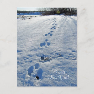 Cartão Postal De Festividades Cartão-postal do feliz ano novo