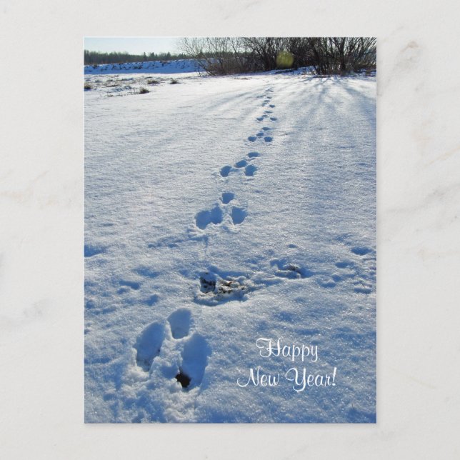 Cartão Postal De Festividades Cartão-postal do feliz ano novo (Frente)