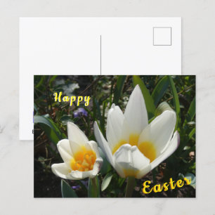 Cartão Postal De Festividades Cartão-postal do Felz pascoa das tulipas amarelas 
