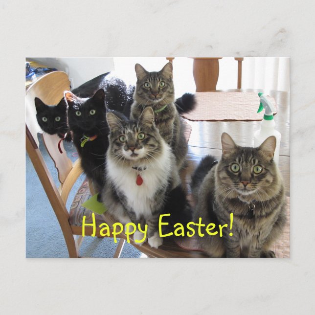 Cartão Postal De Festividades Cartão-postal do Felz pascoa Gang (Frente)