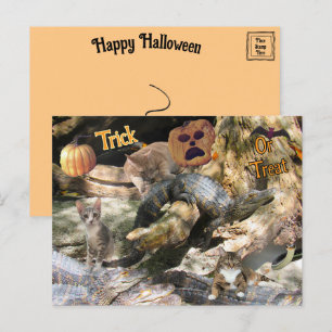 Cartão Postal De Festividades Cartão-postal do Flórida Cat e Gator Halloween