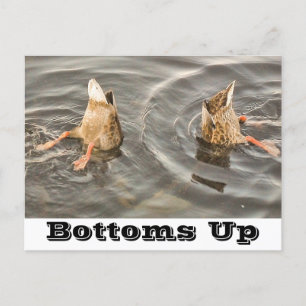 Cartão Postal De Festividades Cartão-postal Duck