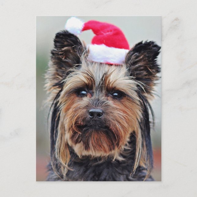 Cartão Postal De Festividades Cartão-postal festivo de férias (Frente)